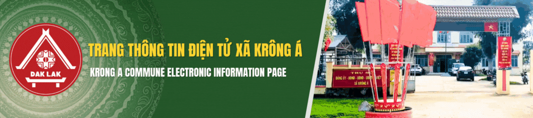 Banner Header Mobile