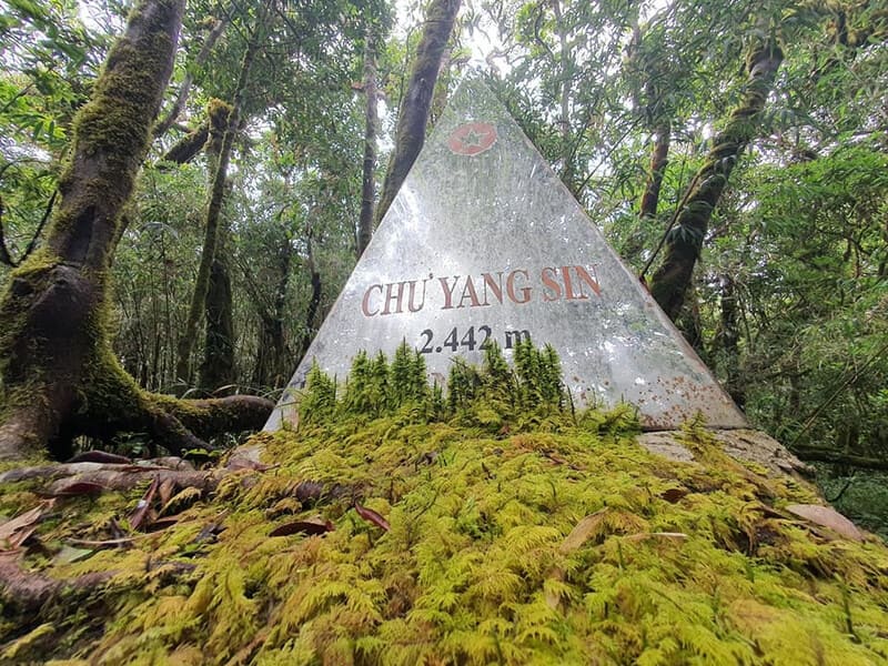 Vườn Quốc Gia Chư Yang Sin – “Trái tim xanh” của Đắk Lắk